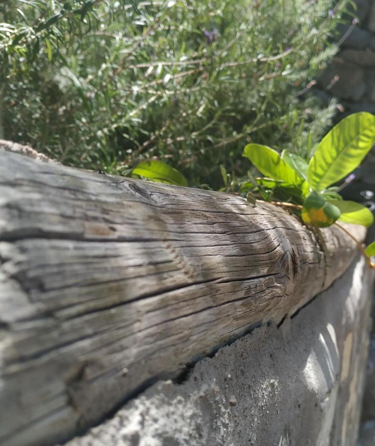 Finca La Ladera Villa Valle Gran Rey Dış mekan fotoğraf