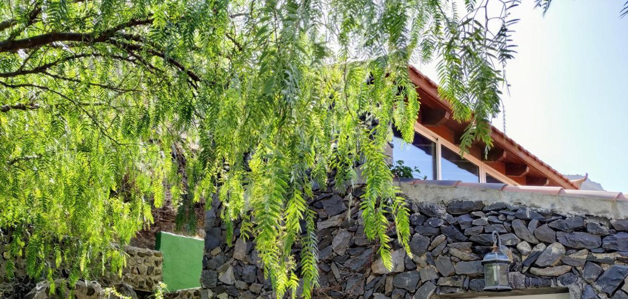 Finca La Ladera Villa Valle Gran Rey Dış mekan fotoğraf